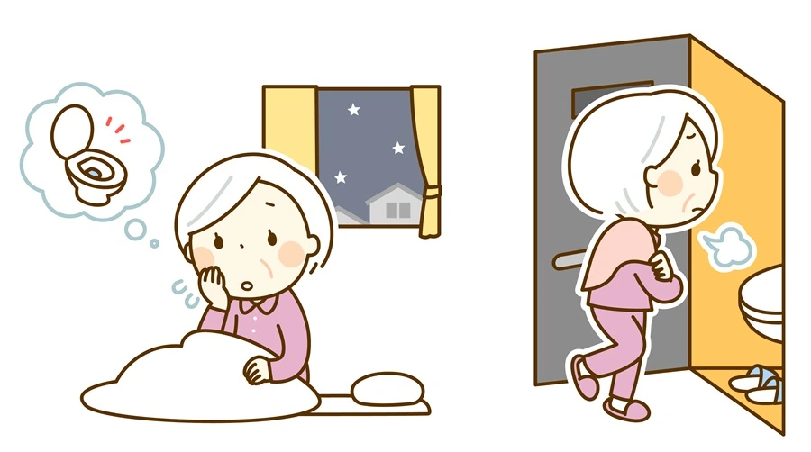 夜中にトイレで目が覚めるのはなぜ？年齢とともに増える理由と対策