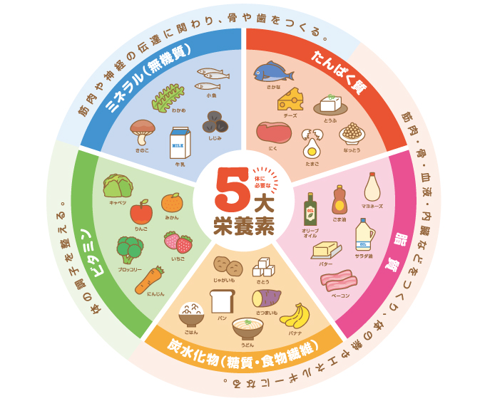 理想的な食事バランスを理解するための5大栄養素インフォグラフィック