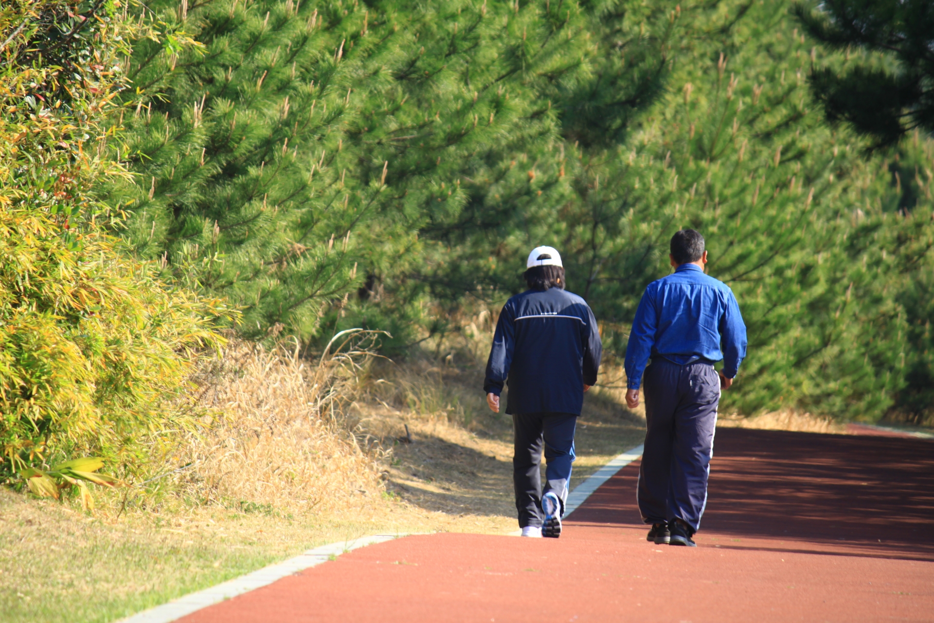 活動的なシニアライフのイメージ