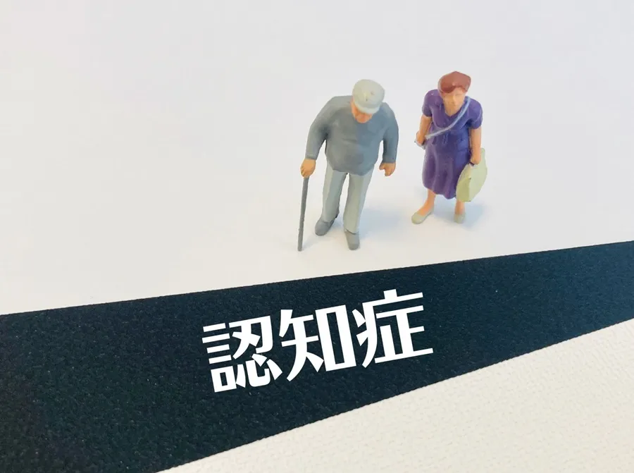 脳の健康と栄養