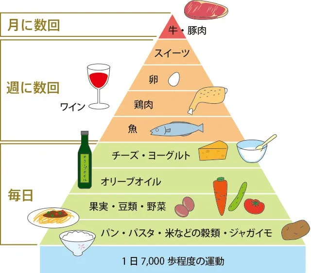 食品ピラミッド