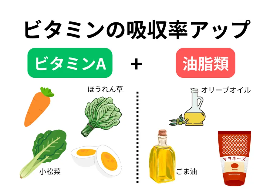 ビタミンA ＋ 良質な油脂類