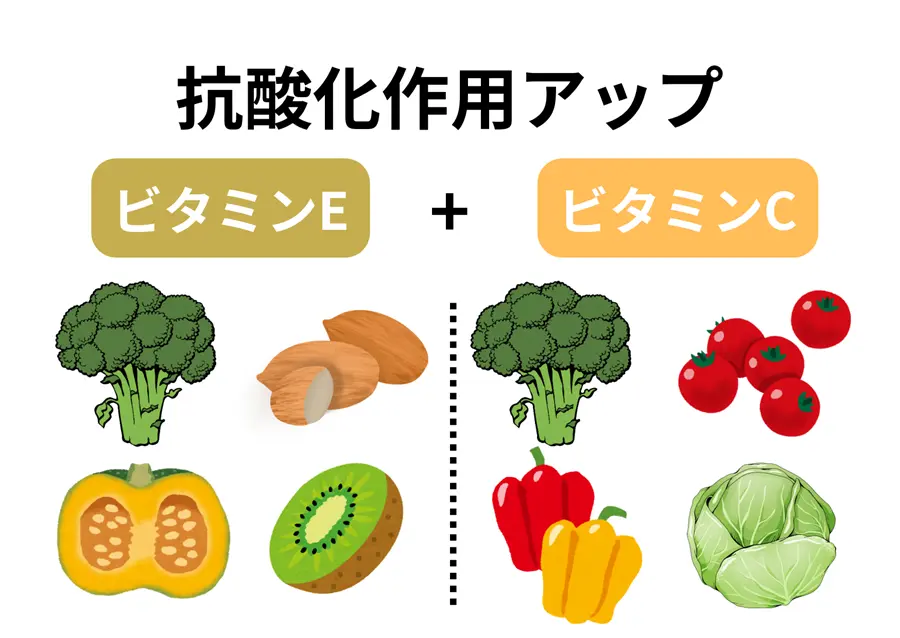 ビタミンE ＋ ビタミンC
