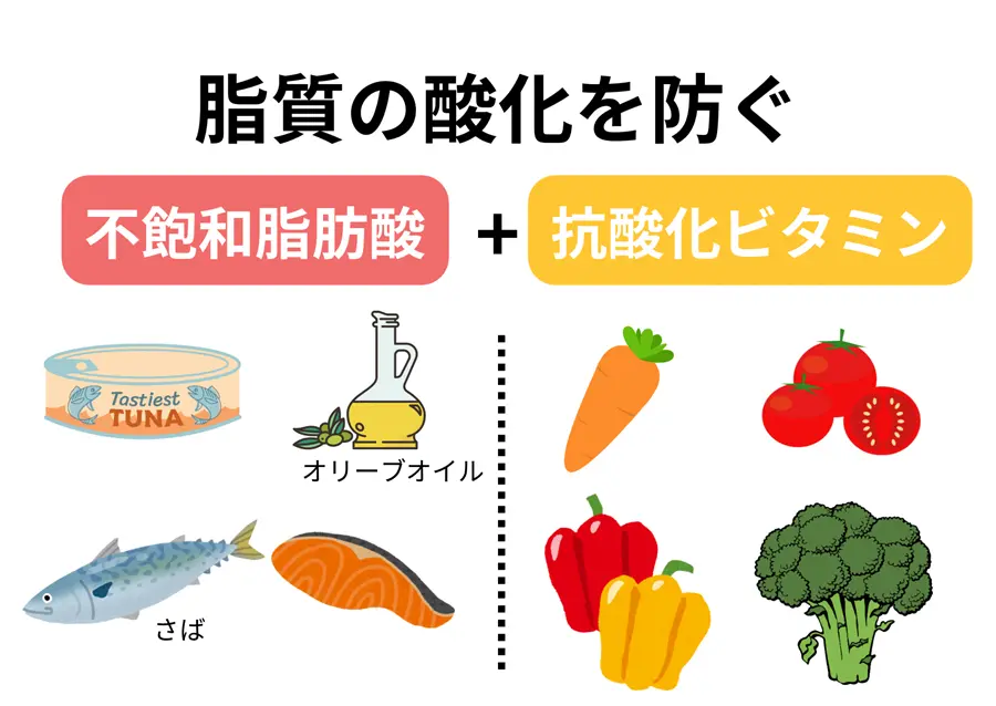 不飽和脂肪酸 ＋ 抗酸化ビタミン