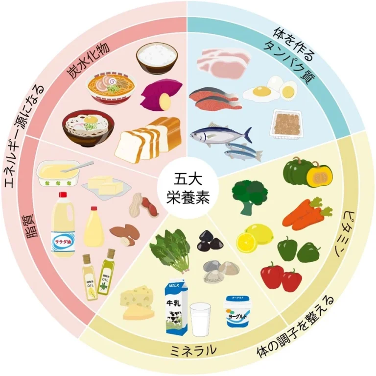 健康の鍵を握るミネラル「マグネシウム」の働きと摂取のポイント