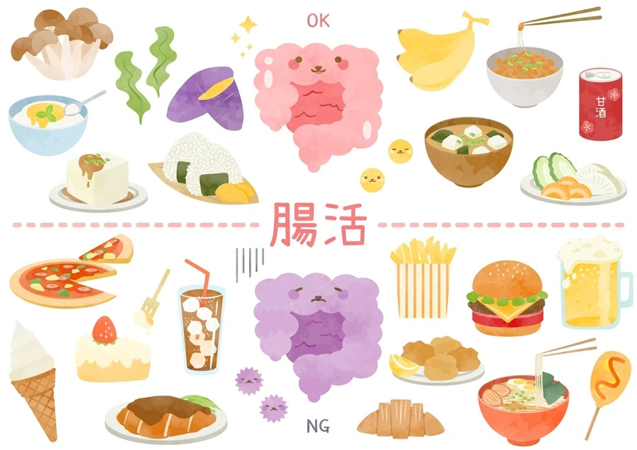 腸活イラスト