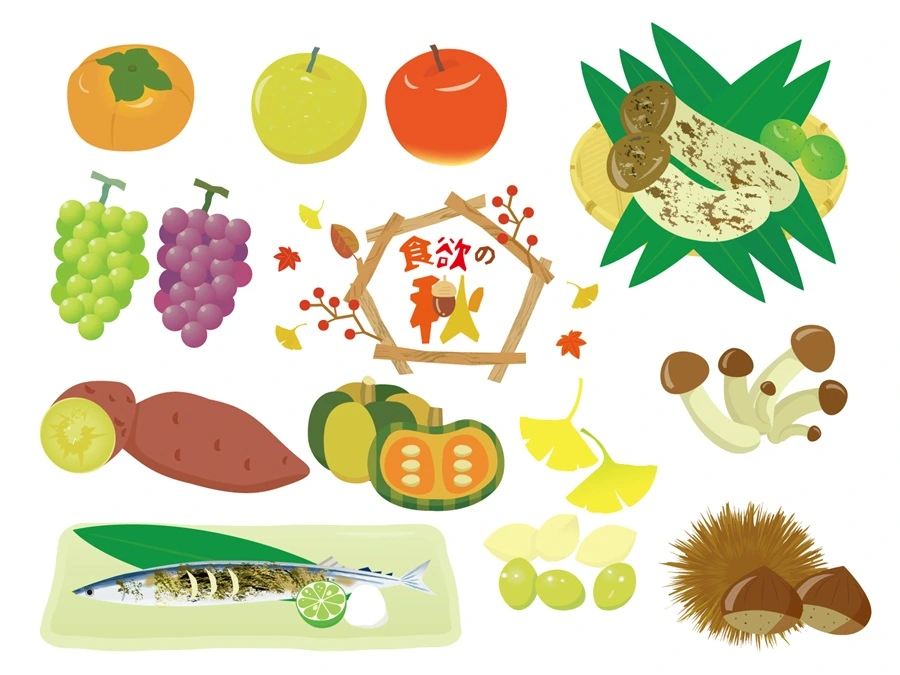 食欲の秋を味方に！太りたい人の身体づくり
